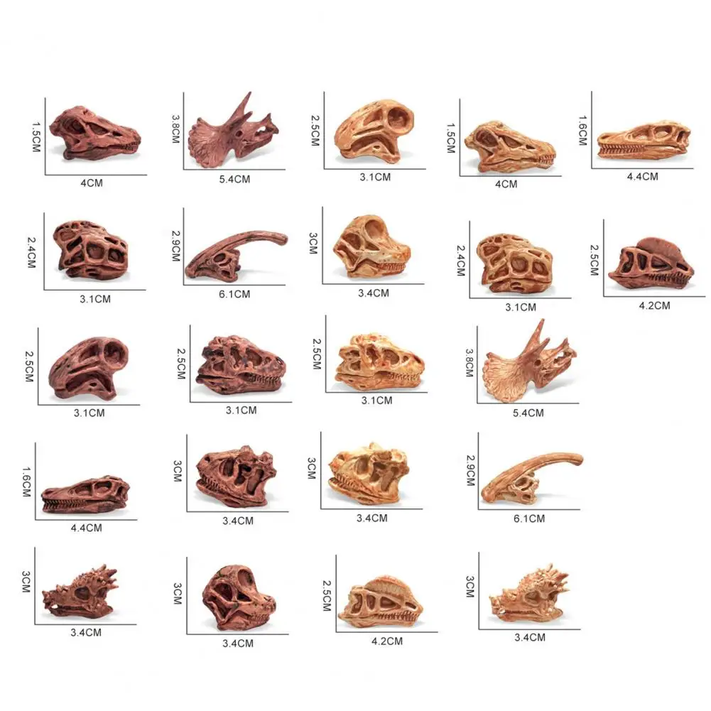 Забавная модель скелета Пластиковая модель Черепа Индивидуальность Аквариумный декор Прозрачная Текстура Модель черепа динозавра