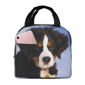 Сумка для ланча для бернской горной собаки, изолированные многофункциональные сумки для ланча, Многоразовая термосумка-холодильник  5